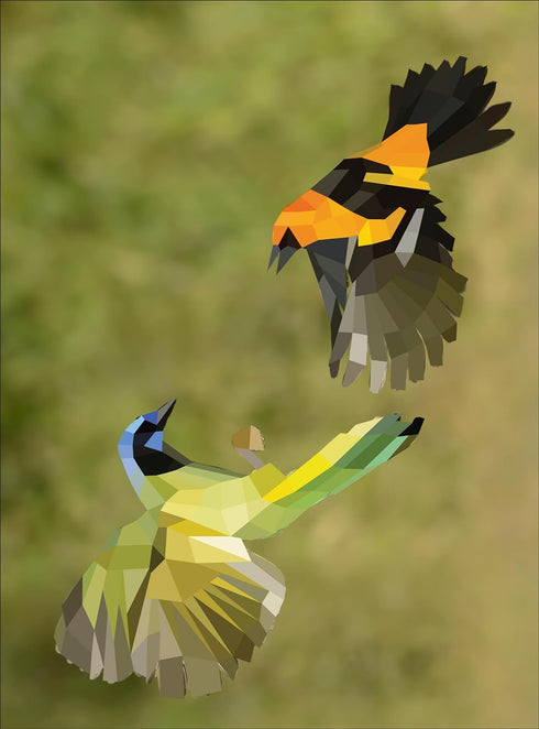 PAINT BY STICKER: BIRDS -WORKMAN